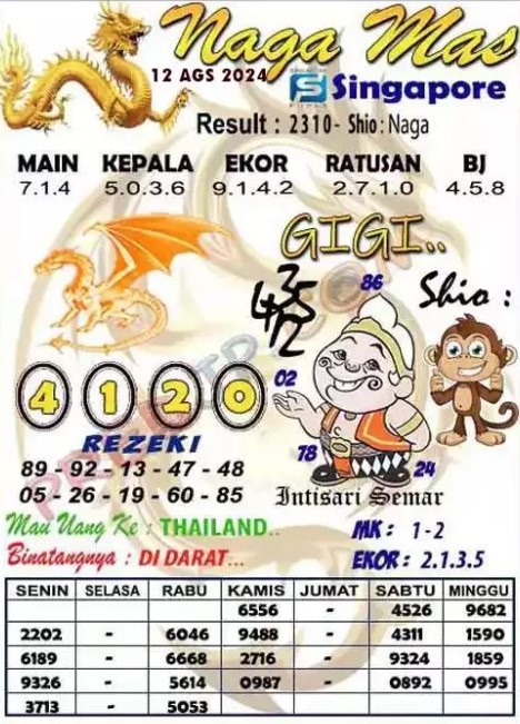 SYAIR SGP VIP